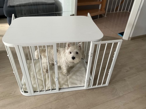 Hundebox/Möbelbox/Weiß/Holz